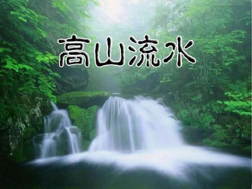 小伙救下残疾野狼,每天吃肉150元,野狼为报恩给狗配种年入百万