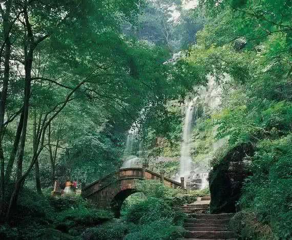 《幻兽帕鲁》黑市商人捕捉技巧