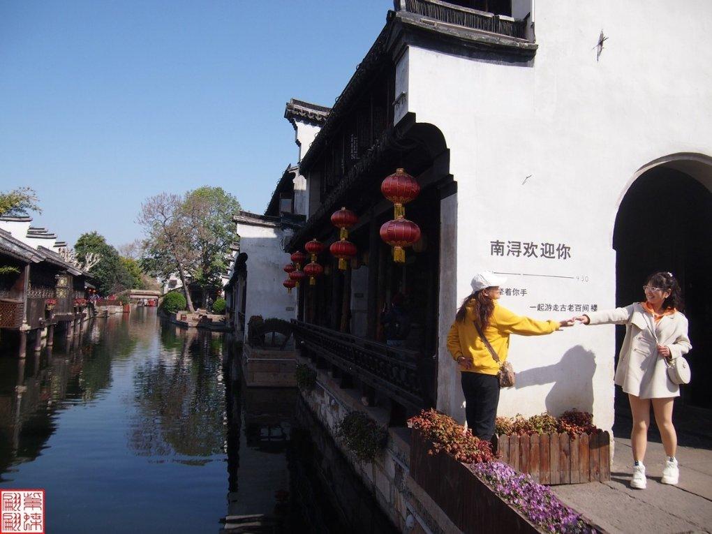 动物帮帮忙保卫家园