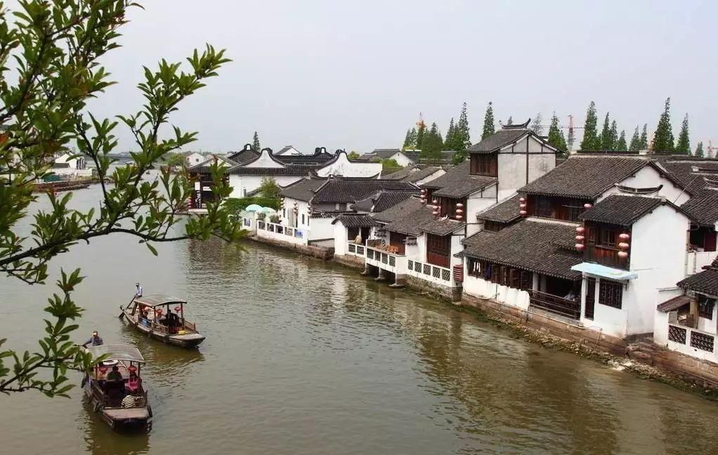 有趣的动物拼图