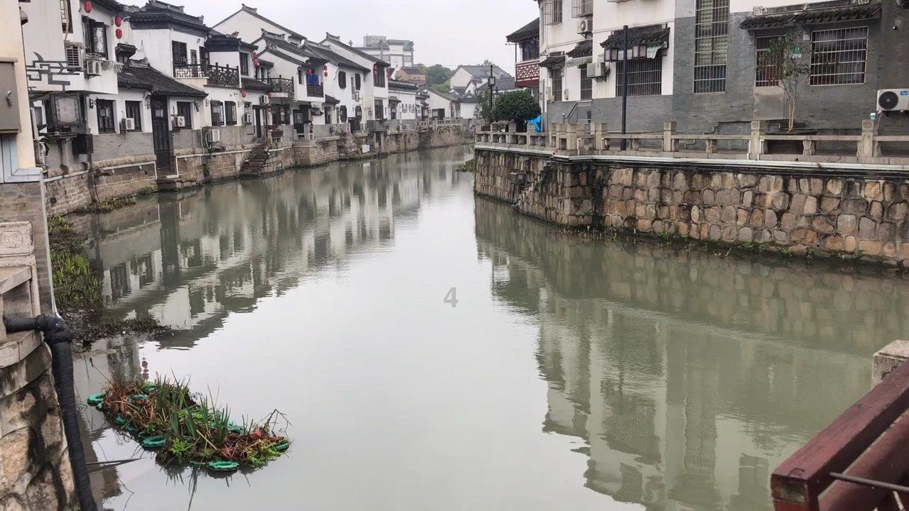 龙年生肖酒带飞二级市场!谁坐上了“年货经济”的顺风车?