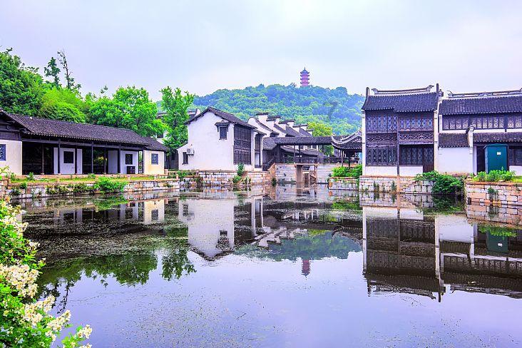 植物大战僵尸17